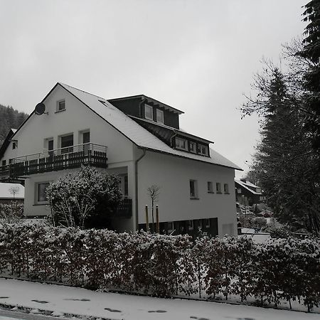 Ferienwohnung Haus Kloosterman Winterberg Zewnętrze zdjęcie