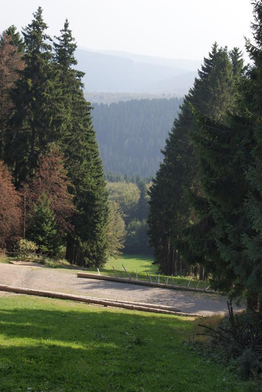 Ferienwohnung Haus Kloosterman Winterberg Zewnętrze zdjęcie