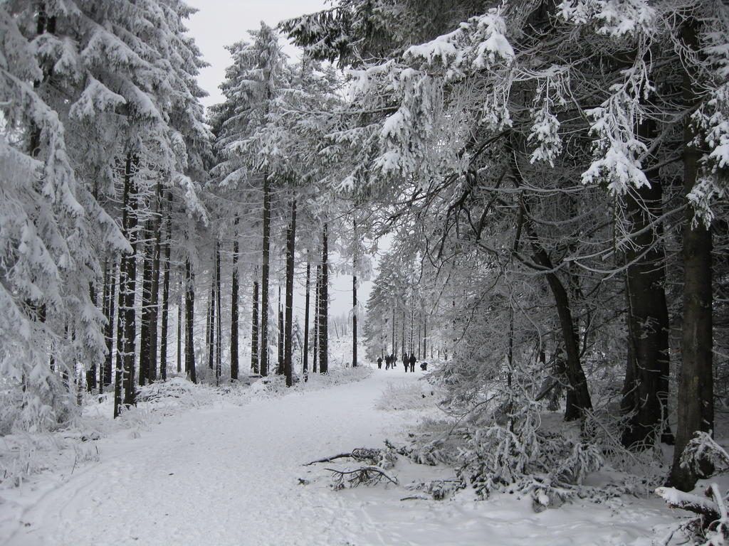 Ferienwohnung Haus Kloosterman Winterberg Zewnętrze zdjęcie