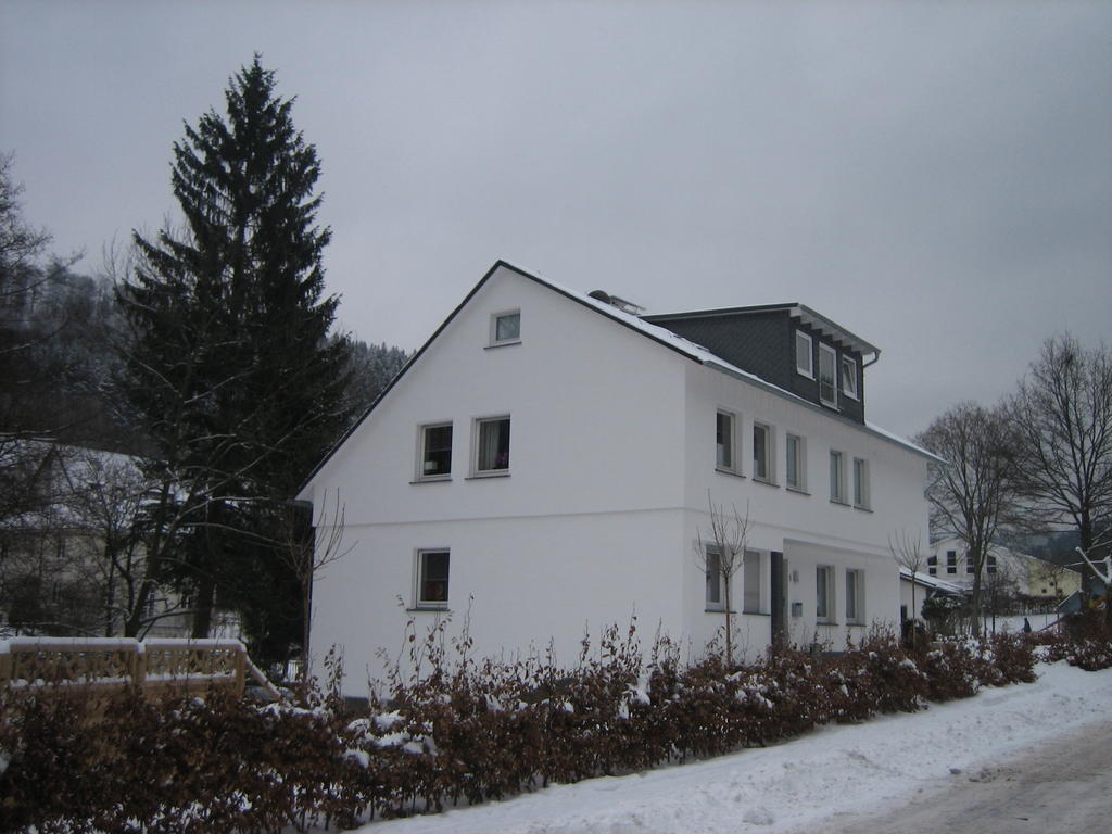 Ferienwohnung Haus Kloosterman Winterberg Zewnętrze zdjęcie